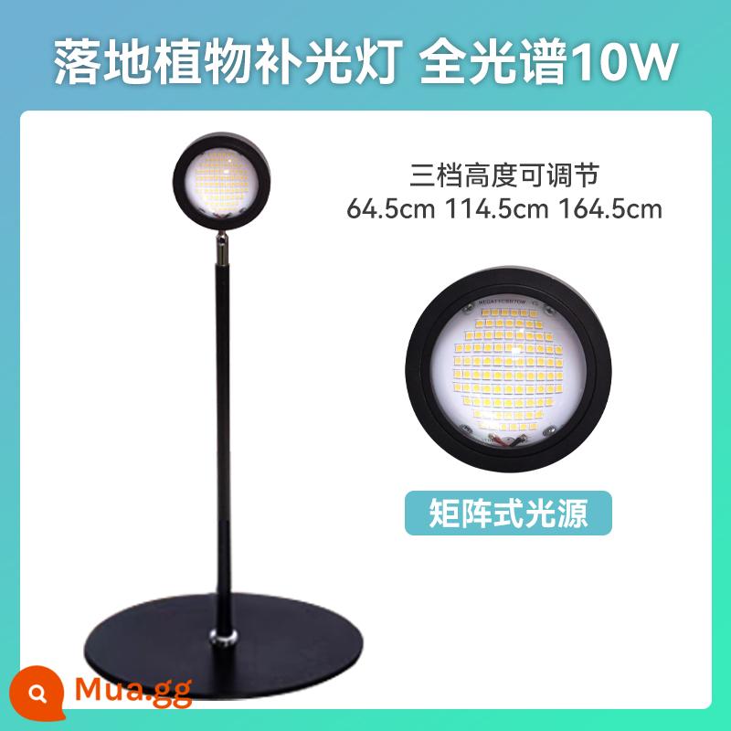 Guixiang LED toàn phổ vật có lấp đầy ánh sáng cây nóng cây xanh cây hoa tăng trưởng đèn giả ánh sáng mặt trời nhà sàn đứng - Toàn phổ 10W