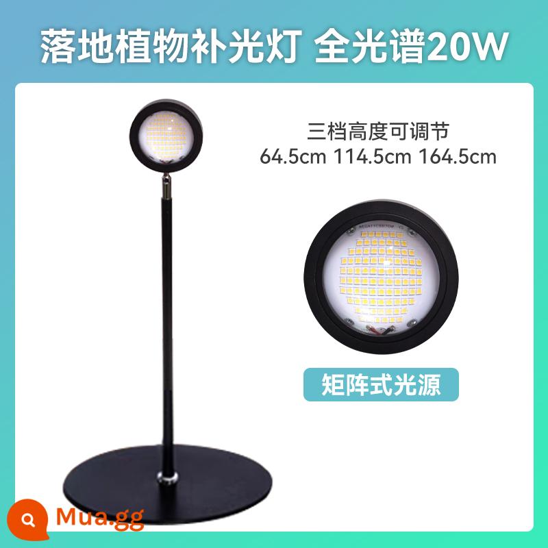 Guixiang LED toàn phổ vật có lấp đầy ánh sáng cây nóng cây xanh cây hoa tăng trưởng đèn giả ánh sáng mặt trời nhà sàn đứng - Toàn phổ 20W