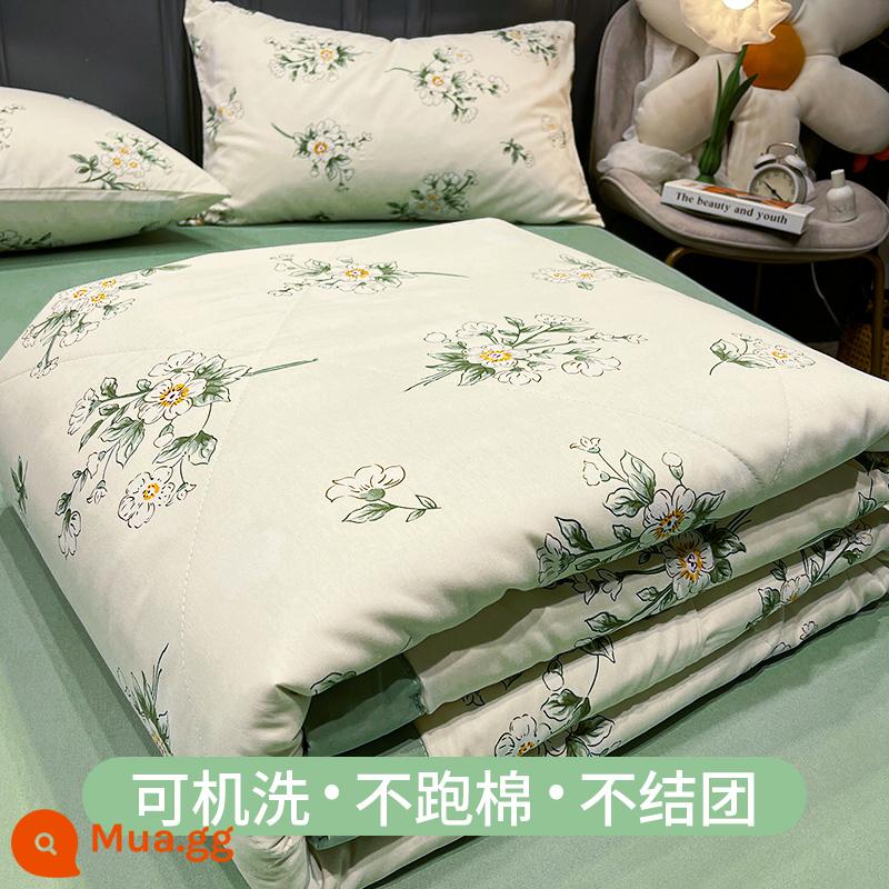 Mùa hè cotton nguyên chất có thể giặt bằng máy đôi mùa hè mát mẻ chăn ba hoặc bốn mảnh bộ đơn ký túc xá sinh viên mỏng chăn điều hòa không khí - Jpurity