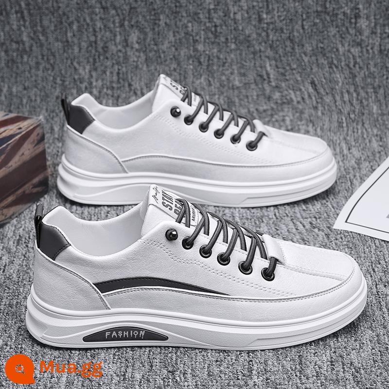 Giày Nam Mùa Hè 2023 Mùa Xuân Mới Tất Nam Giày Da Thể Thao Sneaker Sneaker Trắng Giày Hợp Thời Trang - Trắng [phong cách trẻ trung]