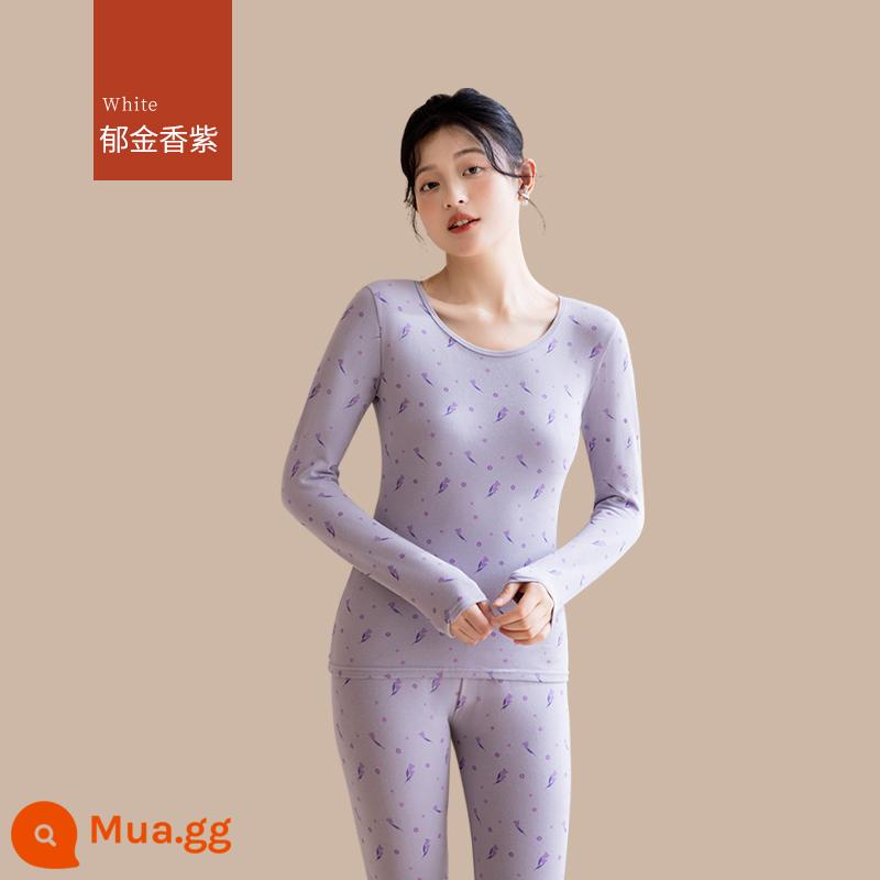 Quần áo sưởi ấm cho nữ, quần áo mùa thu, bộ quần vệ sinh, cotton nguyên chất, kiểu dáng mới, nhung, áo lót dày, áo len cotton, mùa thu đông - [Bộ đồ in họa tiết] Tím Tulip (cotton hữu cơ, ấm hơn)