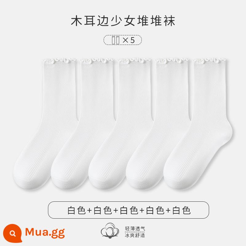 Tất ren bong bóng nấm nấm nữ mùa xuân và mùa thu giữa bắp chân cotton nguyên chất với giày da nhỏ giày đế bệt tất mùa hè - [5 đôi cotton nguyên chất không xương] Trắng*5