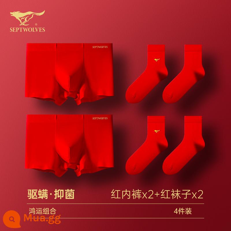 Seven Wolf Men Đồ lót tinh khiết Binjun Boys Big Red Flat -angle Tridruple Short Quần đầu là Quà tặng đám cưới Thỏ - [Phong cách màu đỏ lớn·Kết hợp may mắn] Đồ lót màu đỏ x2 + tất đỏ x2