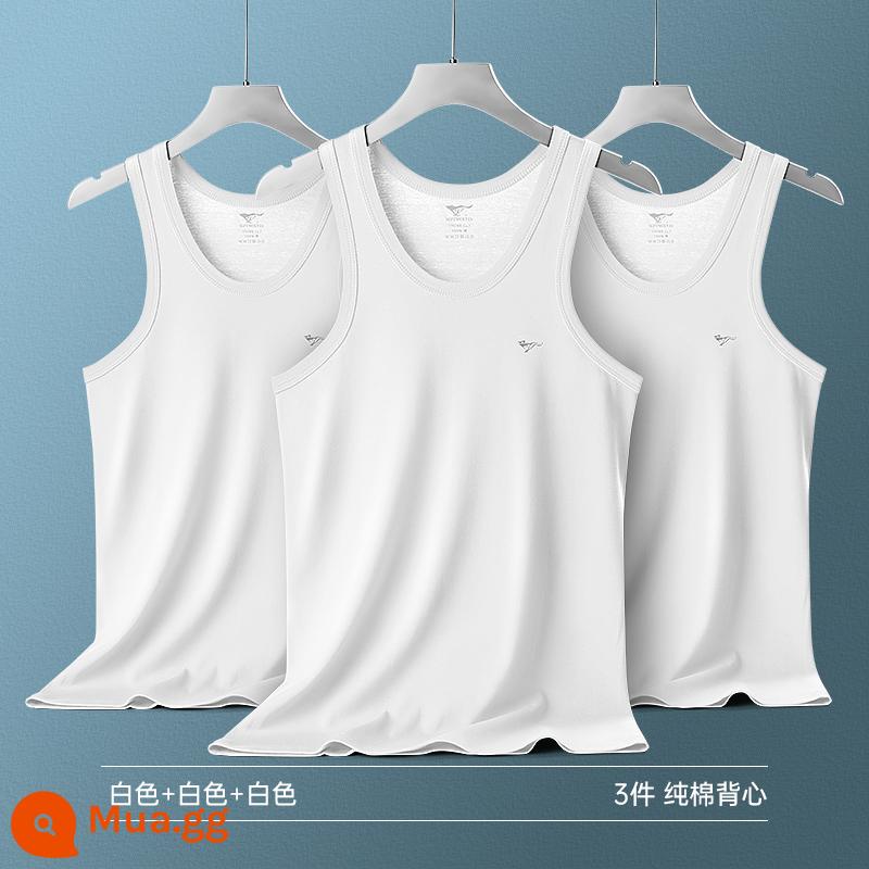 Septwolves Áo Thun Nam Ngắn Tay Nam Quần Lót Cotton Nguyên Chất Quần Lót Nam Bé Trai Cotton Trắng Áo Vest - [3 áo] trắng+trắng+trắng