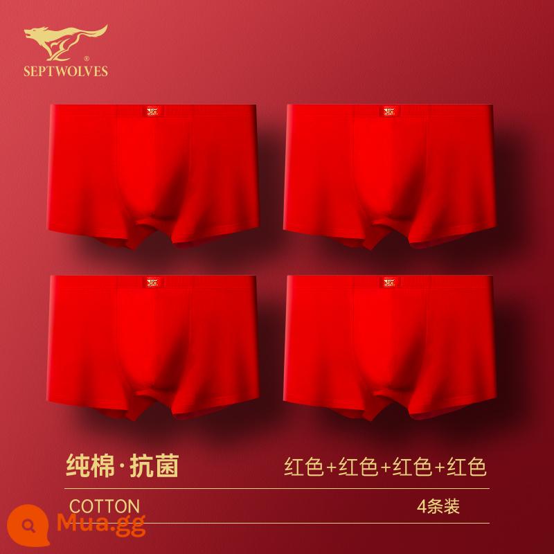 Seven Wolf Men Đồ lót tinh khiết Binjun Boys Big Red Flat -angle Tridruple Short Quần đầu là Quà tặng đám cưới Thỏ - [Bông nguyên chất kháng khuẩn·Hộp quà may mắn] Đỏ to*4