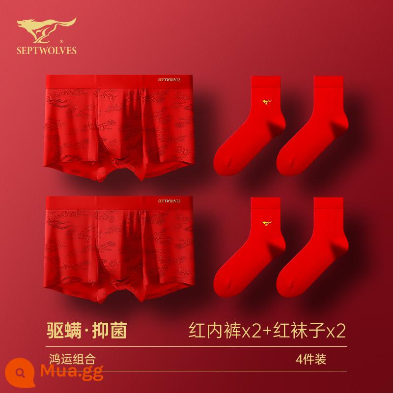 Seven Wolf Men Đồ lót tinh khiết Binjun Boys Big Red Flat -angle Tridruple Short Quần đầu là Quà tặng đám cưới Thỏ - [Phong cách đám mây may mắn·Kết hợp may mắn] Quần lót đỏ x2 + Tất đỏ x2