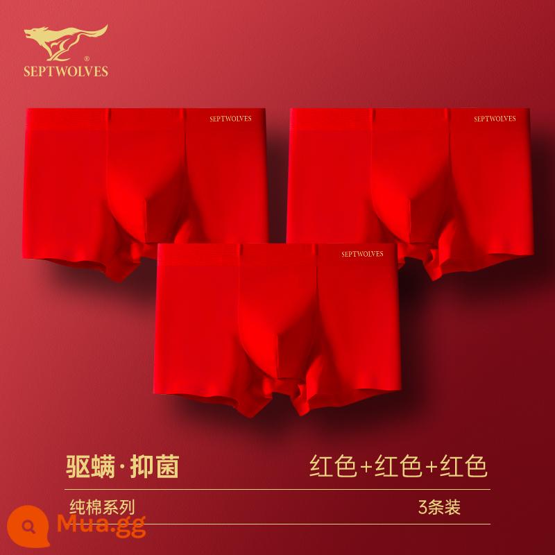 Seven Wolf Men Đồ lót tinh khiết Binjun Boys Big Red Flat -angle Tridruple Short Quần đầu là Quà tặng đám cưới Thỏ - [Mẫu lớn màu đỏ·Chống mạt và kháng khuẩn·Không dấu vết] Đỏ lớn x3