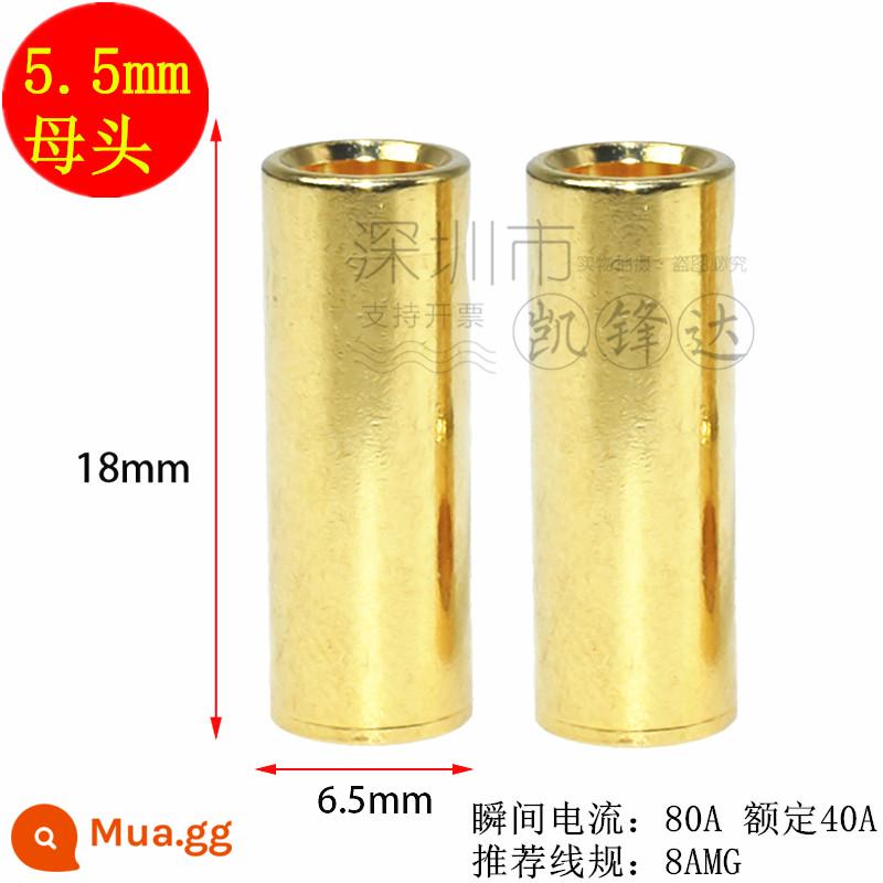 Mô hình máy bay bằng đồng nguyên chất mạ vàng đầu chuối 2.0/3.0/4.0/5.0/6.0/8.0mm động cơ điện tử thống đốc phích cắm đặc biệt - Đầu cái 5.0mm 10 chiếc