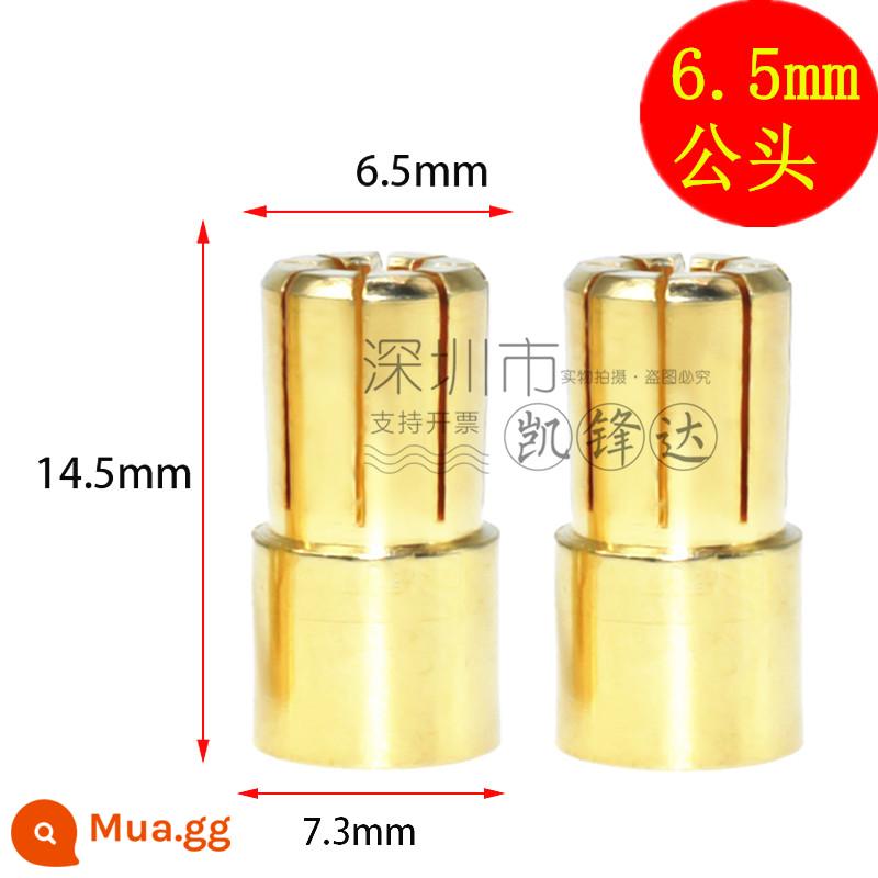 Mô hình máy bay bằng đồng nguyên chất mạ vàng đầu chuối 2.0/3.0/4.0/5.0/6.0/8.0mm động cơ điện tử thống đốc phích cắm đặc biệt - 10 đầu đực 6.5mm