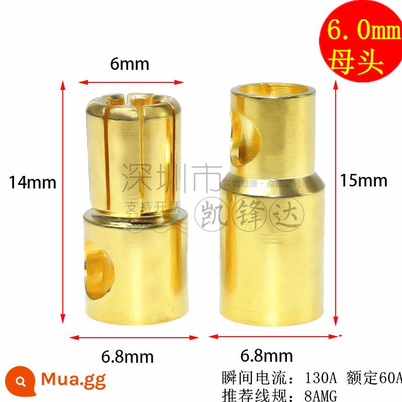 Mô hình máy bay bằng đồng nguyên chất mạ vàng đầu chuối 2.0/3.0/4.0/5.0/6.0/8.0mm động cơ điện tử thống đốc phích cắm đặc biệt - 6.0mm 5 nam và nữ