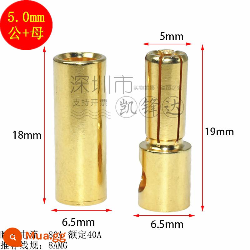 Mô hình máy bay bằng đồng nguyên chất mạ vàng đầu chuối 2.0/3.0/4.0/5.0/6.0/8.0mm động cơ điện tử thống đốc phích cắm đặc biệt - 5.0mm 5 nam và nữ