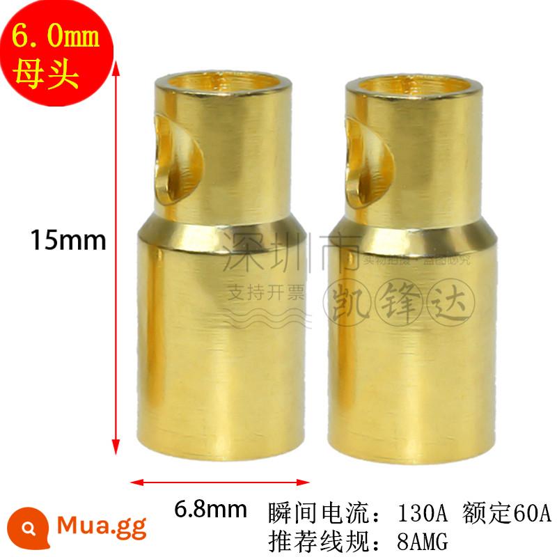 Mô hình máy bay bằng đồng nguyên chất mạ vàng đầu chuối 2.0/3.0/4.0/5.0/6.0/8.0mm động cơ điện tử thống đốc phích cắm đặc biệt - Đầu cái 6.0mm 10 chiếc