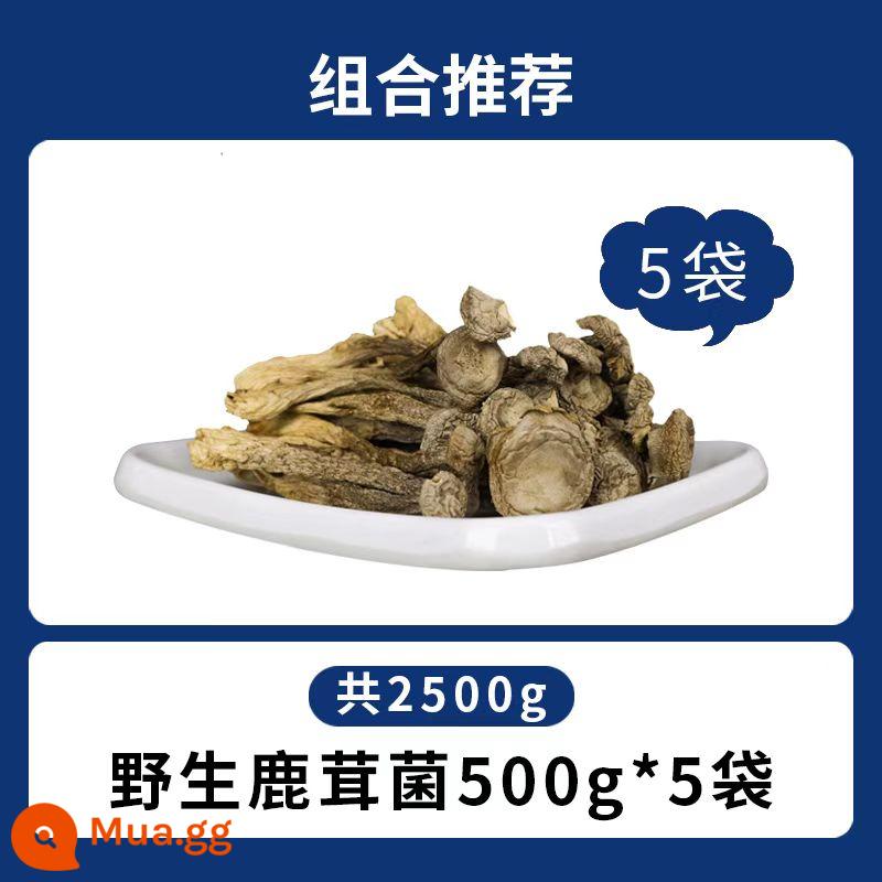 Nấm nhung hươu Hàng khô 500g Nấm nhung hươu Thành phần súp nấm đông bắc Nấm ăn được Nấm hoang dã - 2500g