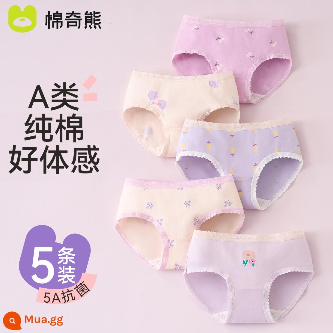 Quần lót bé gái, quần đùi cotton trẻ em, quần lót boxer 100% cotton cho bé, bé gái vừa và lớn, quần short không pp - Gói hoa hồng-5 (Tam giác) [Thắt lưng ren]