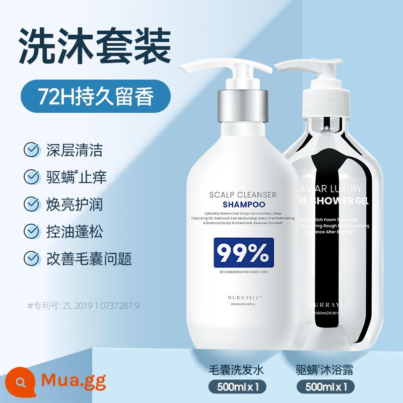 Dầu gội nang tóc loại bỏ ve da đầu làm sạch dầu kiểm soát gàu chống ngứa dầu gội thương hiệu dương chính thức dành cho nam và nữ - [Bộ Dầu Gội] Dầu Gội Nang Tóc 500ml + Sữa Tắm Chlorophytum 500ml