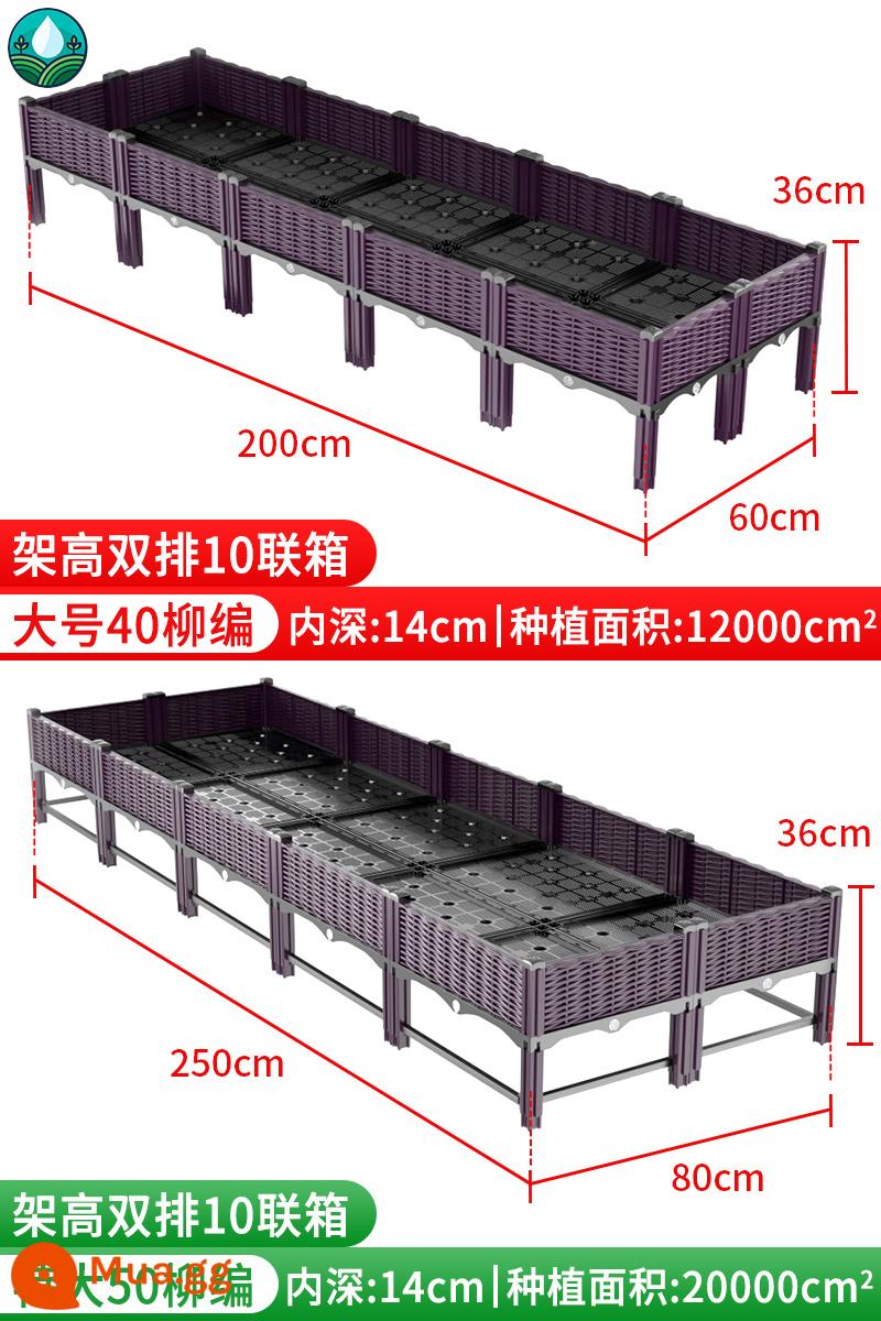 Trồng hộp trồng hiện vật hộp đặc biệt mái nhà trồng chậu gia đình ban công thêm chậu hoa nhựa lớn hộp hoa hình chữ nhật - Hộp 10 hàng đôi nâng cao