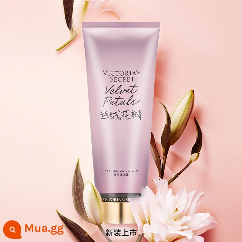 【Mua ngay】Sữa dưỡng thể hương thơm Victoria's Secret Velvet Petal Sữa dưỡng thể - [Át chủ bài của toàn cửa hàng] Cánh hoa nhung