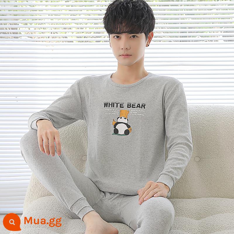 Đàn ông Đồ lót nam giới Đàn nam Cotton Thanh niên Quần áo Autumn Quần áo vệ sinh Thiết lập tóc nóng tất cả các học sinh trung học Cotton Junior - gấu lưng xám nhạt