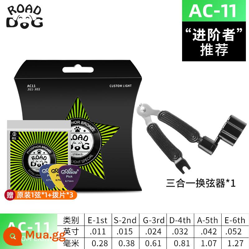 Road Dog Strings Dây Đàn Guitar Dân Gian Bộ 6 Dây Phủ Phosphor Đồng Dây Đàn Guitar Trọn Bộ Phụ Kiện Dây Đàn Guitar Bằng Gỗ - Quà tặng sang trọng SF-AC11(11-52) + bộ đổi dây [nâng cao]