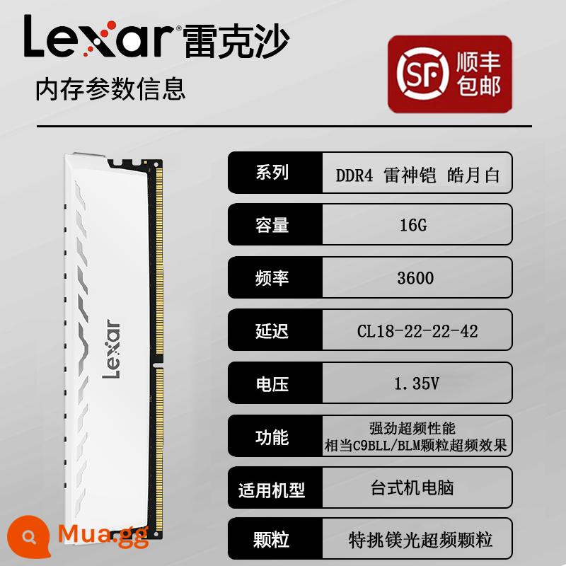 Lexar DDR4 Thor Armor Pluto Armor 8G Samsung Bdie Ép Xung Dạng Hạt Vest Dải Bộ Nhớ Máy Tính Để Bàn - [SF Express Spot] Lexar Thor Armor Haoyue White 16G 3600 Các hạt Magiê được lựa chọn đặc biệt Dải áo ép xung