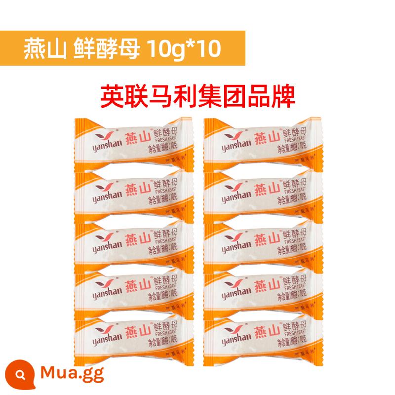 Yanshan men tươi 10g * 10 men tươi hoạt tính cao gói nhỏ bột men hấp bánh mì nướng thương mại hộ gia đình - Nấm men tươi Yanshan 10g*10