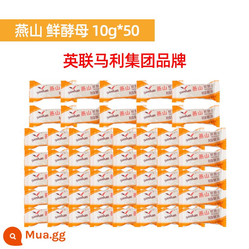 Yanshan men tươi 10g * 10 men tươi hoạt tính cao gói nhỏ bột men hấp bánh mì nướng thương mại hộ gia đình - Nấm men tươi Yanshan 10g*50