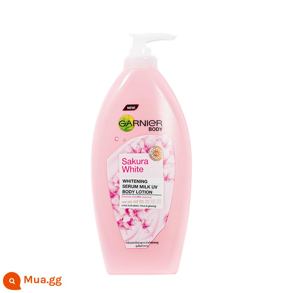 [Tự điều hành] Garnier Karnier Body Sữa 400ml làm trắng dưỡng ẩm Nichee, Nicotinamide Lemon VC - Sữa dưỡng thể sáng da Sakura