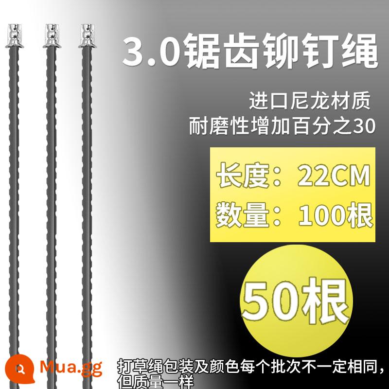 Máy Cắt Cỏ Cỏ Dây Dây Thép Nhập Khẩu Có Răng Cưa Chịu Mài Mòn Dây Nylon Máy Làm Cỏ Đầu Cỏ Phụ Kiện Dây Đặc Biệt - Dây rơm đinh tán răng cưa 3.0 22 cm [50 cái]