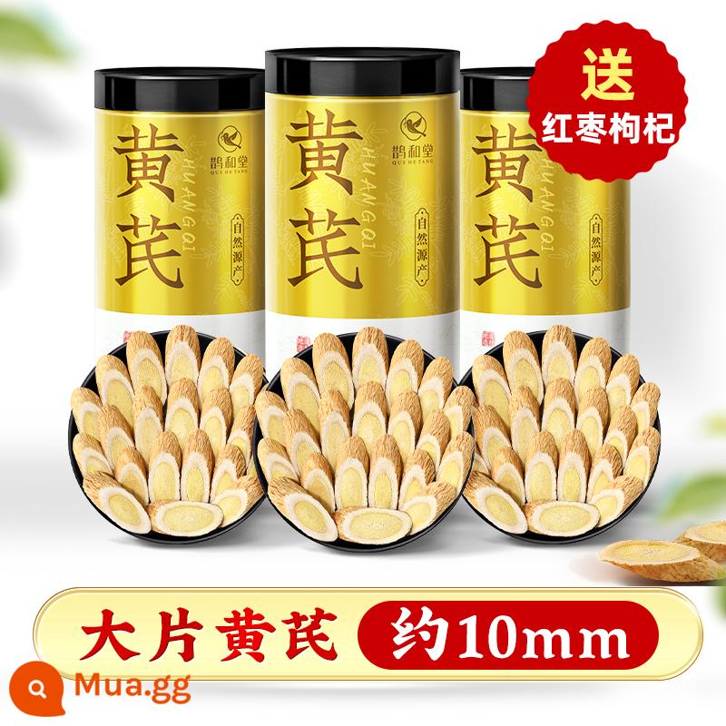 [Miếng lớn 500g] Cửa hàng hàng đầu chính thức của Astragalus Thuốc thảo dược Trung Quốc chính hãng Beiqi non-angelica codonopsis quả kỷ tử đỏ - Miếng xương cựa lớn 750g [khoảng 10mm]