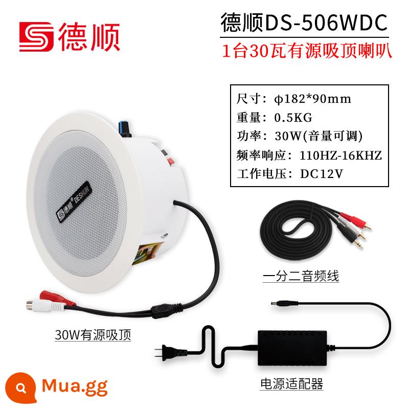 Deshun 506WDC loa trần hoạt động tích hợp loa trần khuếch đại 30W cửa hàng loa khuếch đại - Loa trần cố định điện trở chủ động DS-506WDC + cáp âm thanh