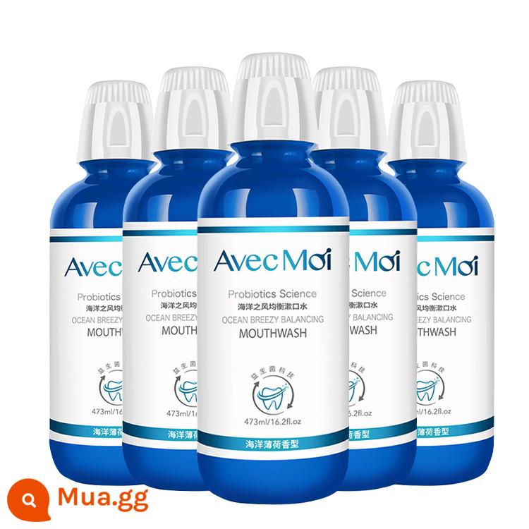 avecmoi nước súc miệng probiotic gió đại dương cho nam và nữ loại bỏ hôi miệng cao răng diệt khuẩn hơi thở thơm mát 5 chai - 5 chai