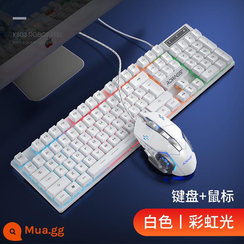 Phím Cơ Bộ Chuột Điện Thi Game Chuyên Dụng Tắt Tiếng Máy Tính Xách Tay Bàn Phím Có Dây Văn Phòng Xanh Trục Trà Trục - Bộ bàn phím và chuột có đèn màu trắng núi tuyết