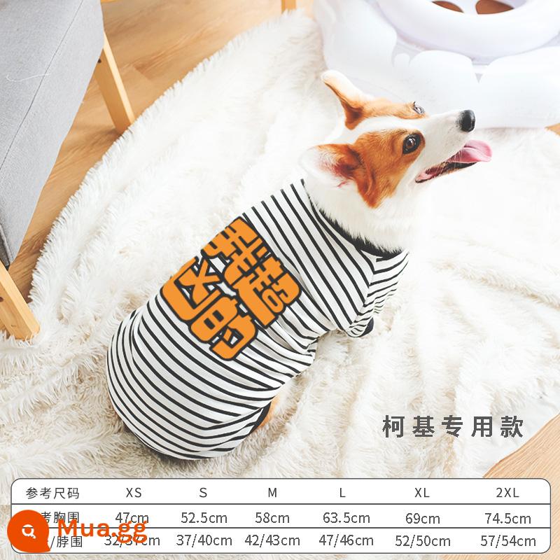 Corgi Quần Áo Cho Chó Quần Áo Mùa Đông Quần Áo Thu Đông Thu Đông Mỏng Shiba Inu Dachshund Thú Cưng Vừa Chó Shiba Inu Thu Đông - Em cực ngầu với sọc đen trắng [cộng với nhung mùa thu đông]