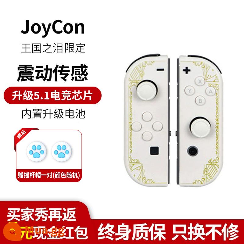 Thích hợp cho tay cầm chuyển đổi Nintendo joycon rung somatosensory NS nội địa HKII jet 3 dòng quốc gia hai người hai mảnh điều khiển tay trái và tay phải Bảng điều khiển trò chơi OLED cộng với tay cầm rocker màu đỏ và xanh - Tay cầm JoyCon [Tears of the Kingdom★White]+[Không có dây đeo]