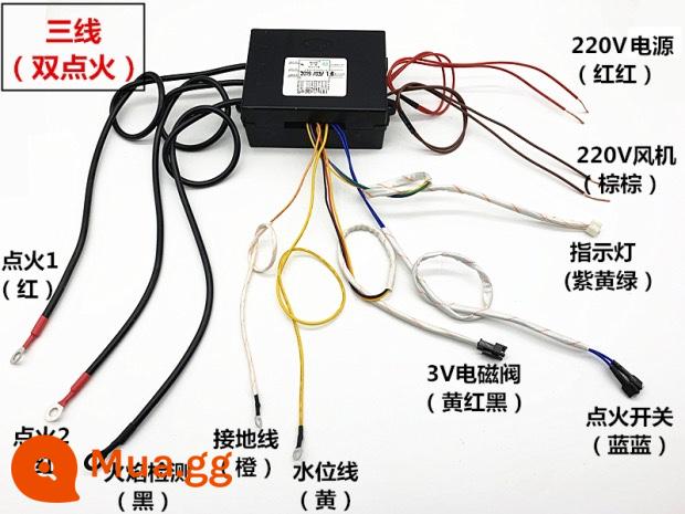 Xô nấu mì Bộ điều khiển đa chức năng Jiuding Wang thương mại Bun hấp Benwei xung đánh lửa công tắc nồi súp phụ kiện - Điểm đôi (ba dây) Ba dây nối với thanh chữa cháy