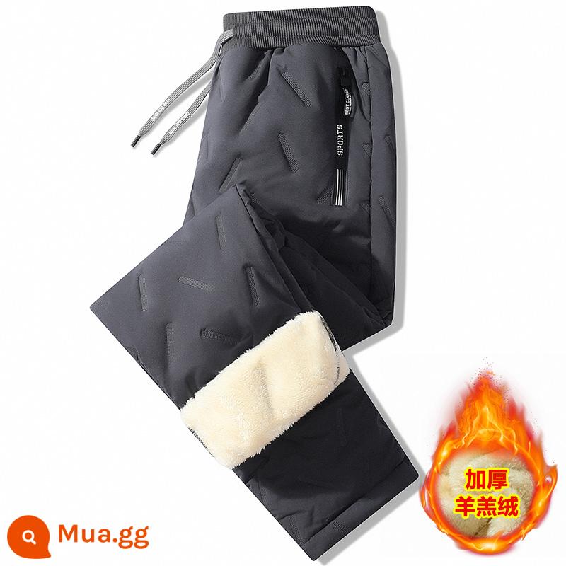 Thịt cừu xuống cotton quần nam mùa đông áo khoác ngoài Plus nhung dày quần âu nam tuyết mùa đông chống gió ấm quần - Màu xám thẳng [kiểu chống gió và chống nước mùa đông]