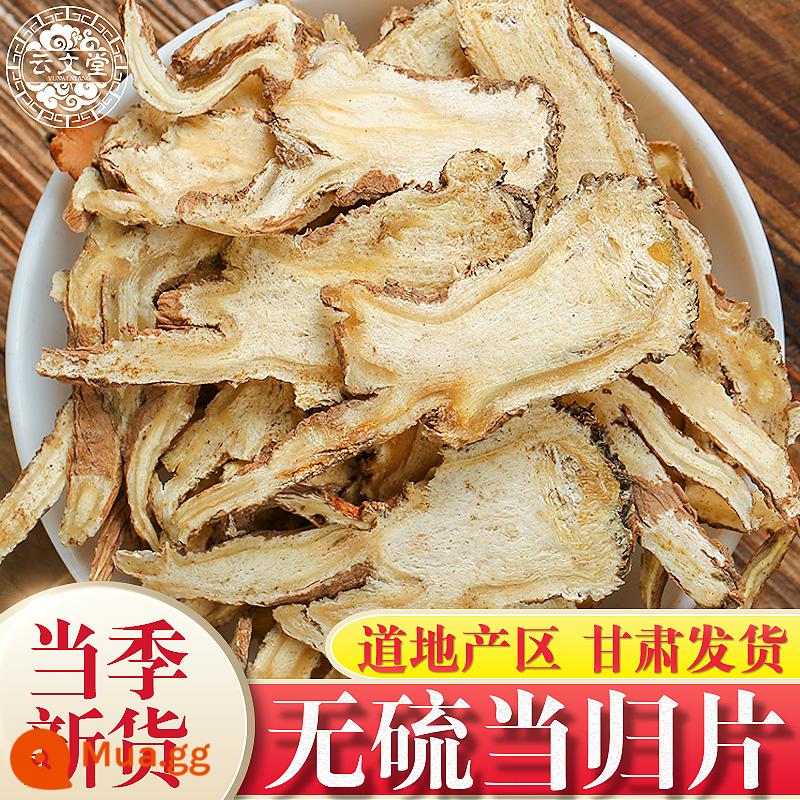 Gansu Minxian toàn bộ lát bạch chỉ 500g bột bạch chỉ hoang dã cao cấp đích thực Danggui Thuốc thảo dược Trung Quốc cửa hàng chính thức - Quangui viên 100g