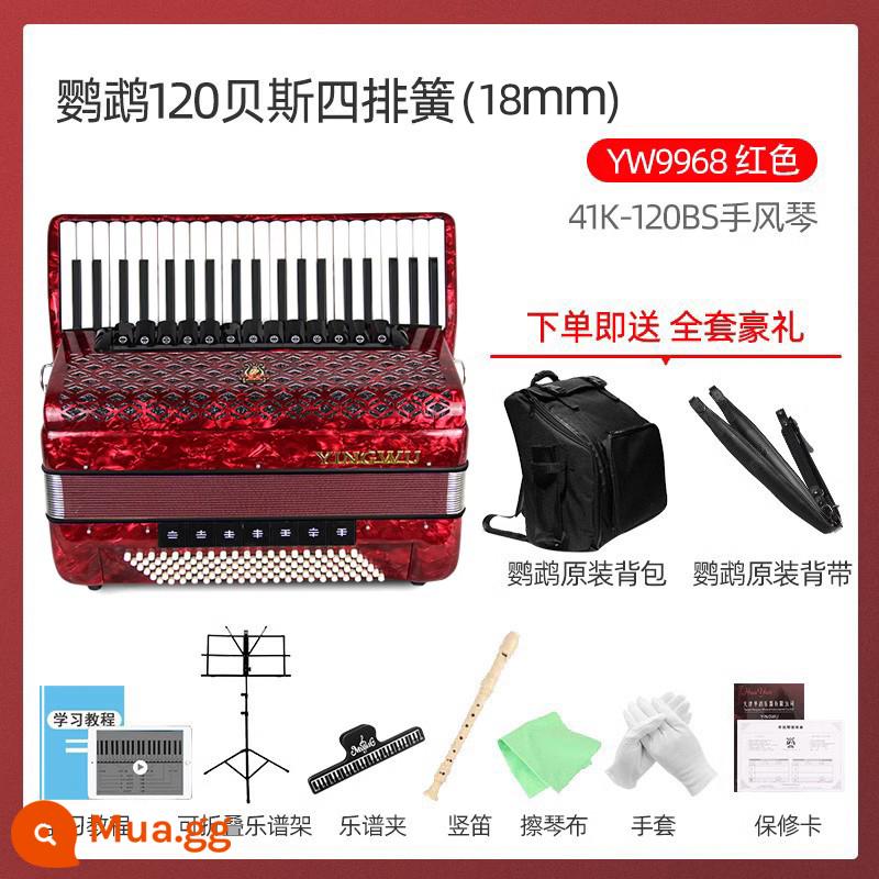 Vẹt đàn accordion nhạc cụ đích thực chơi đàn accordion mới bắt đầu 60/96/120 bass đàn accordion 3 hoặc 4 hàng - 120 bass bốn hàng lò xo 41 phím đỏ YW9968 (18mm) + gói quà