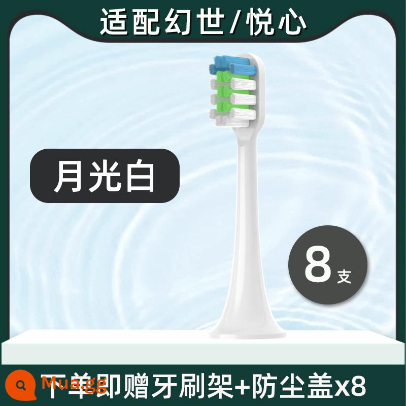 Thích hợp cho LeBooo Libao để giành được đầu bàn chải đánh răng điện, Yuexin LBT203556A/HS Phantom LBE0658 MU YAN - Loại sạch 8 miếng (màu trắng ánh trăng)