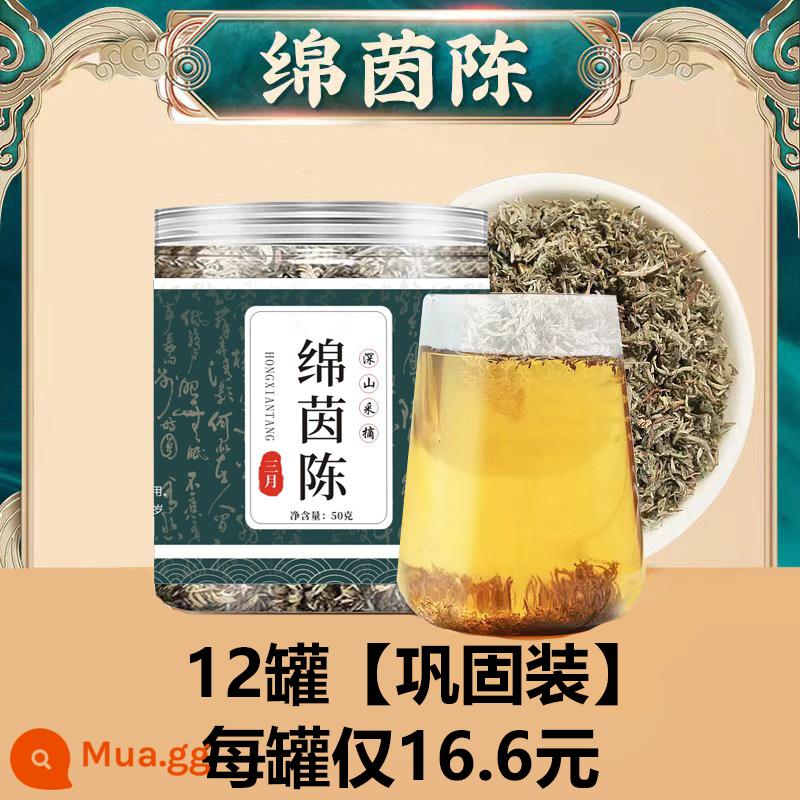 [Mianyin Chen Tea] Cửa hàng chính thức hàng đầu nấm bông Hongchao Ji đích thực vì y học cổ truyền Trung Quốc nụ đức hạnh vào tháng ba - 12 lon [Gói hợp nhất] Chỉ 16,6 nhân dân tệ mỗi lon