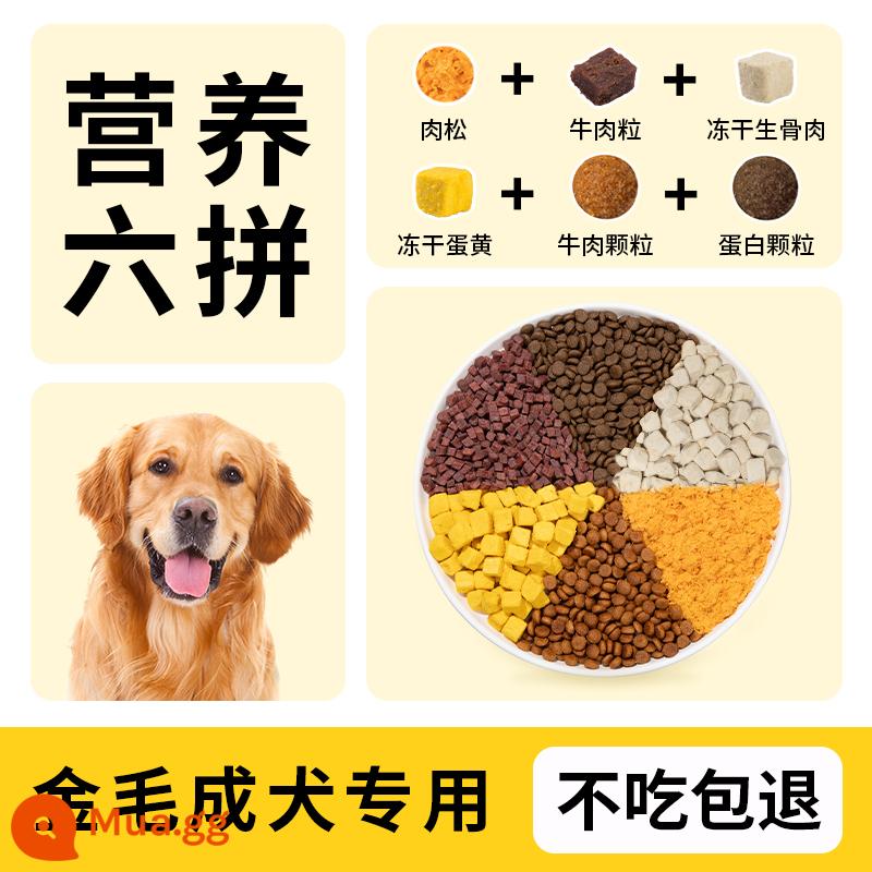 Golden Retriever Chó đặc biệt ăn 40 con mèo vào một chú chó lớn, chó lớn, tóc đẹp, canxi bổ sung đường tiêu hóa và dạ dày, đông lạnh - Mua 1 tặng 1 cho chó Golden Retriever trưởng thành (sáu miếng đông khô), không ăn có hoàn tiền