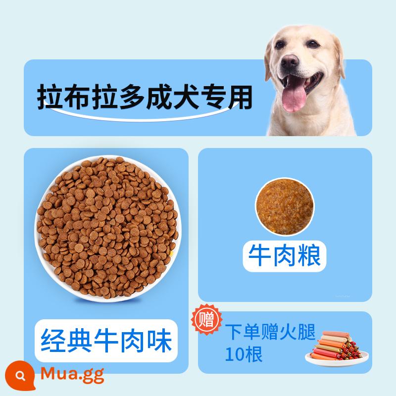 Thức ăn cho chó Labrador special 40 catties chó con đông khô bảo vệ đường ruột và dạ dày chó trưởng thành bánh sữa bổ sung canxi cho chó lớn 20kg - Đặc biệt dành cho chó trưởng thành Labrador (hương thịt bò), hoàn tiền nếu không ăn