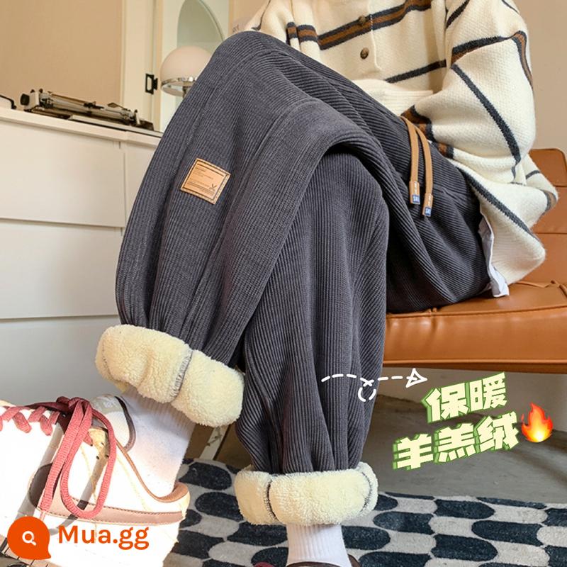 Mỡ mm cừu nhung quần nữ mùa đông Plus nhung dày rộng ống rộng mỏng Harlan thường quần cotton dày kích thước lớn quần áo nữ - Màu xám đậm cộng với nhung