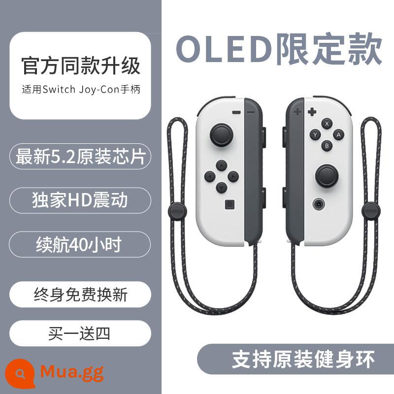 Điểm này áp dụng cho Bộ điều khiển công tắc Rung somatosensory JoyCon Nintendo NS hỗ trợ không dây vòng tập thể dục chuyên nghiệp Bộ điều khiển trò chơi du lịch đôi tay cầm chính hãng Dongsen nội địa jc tay cầm oled giới hạn - [Mẫu nâng cấp OELD] Hỗ trợ vòng thể dục ◆Mua một tặng bốn ◆Thay thế trọn đời