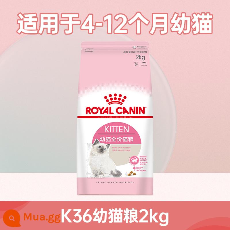 Thức ăn cho mèo hoàng gia K36/BK34 bánh sữa dành riêng cho mèo con mèo mẹ mèo mẹ mang thai thời kỳ cai sữa bán thức ăn phổ thông giá đầy đủ - ❤ Thức ăn cho mèo con K36 2kg (thích hợp cho bé 4-12 tháng tuổi)