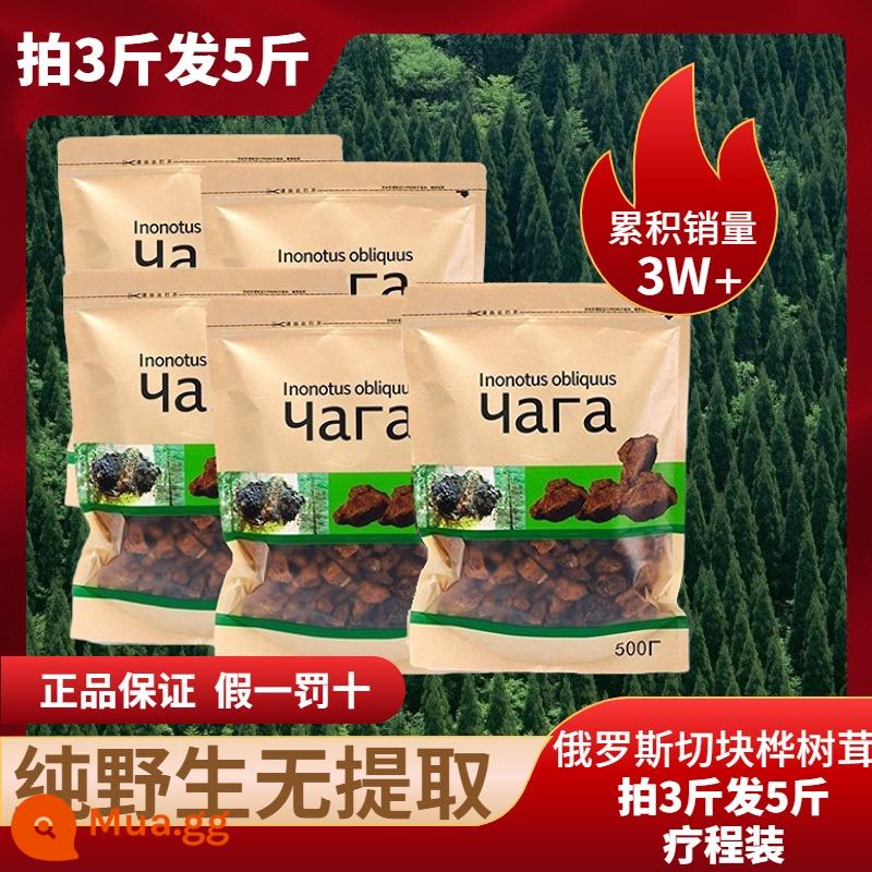 Chaga nhung hoang dã một nhung chaga catty chính hãng nhập khẩu từ cửa hàng hàng đầu của Nga vàng đen không phải núi Trường Bạch Chaga obliquus - 60% người bệnh tiểu đường chọn [3 mũi 5 catties] và nhận gói điều trị 106/catties