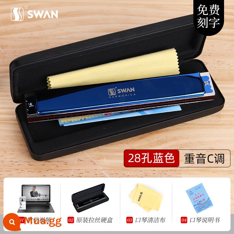 Kèn kèn thiên nga đích thực 24 lỗ C-tone đa âm cho người mới bắt đầu Harmonica nam 28 lỗ biểu diễn chuyên nghiệp cấp độ nâng cao - [Giáo viên đề xuất - Giọng trình độ] 28 lỗ C - Màu xanh trang nhã - Thang âm nguyên + Bộ quà tặng đầy đủ