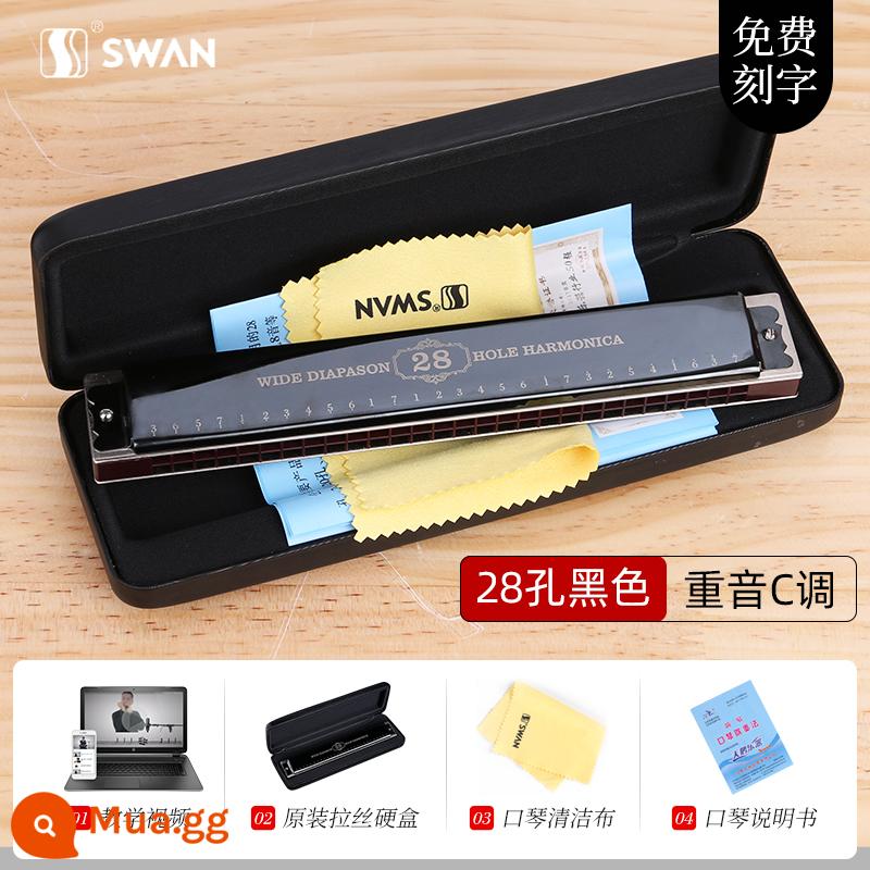 Kèn kèn thiên nga đích thực 24 lỗ C-tone đa âm cho người mới bắt đầu Harmonica nam 28 lỗ biểu diễn chuyên nghiệp cấp độ nâng cao - [Giáo viên đề xuất - Giọng trình độ] 28 lỗ C - Boya Black - Thang âm Diatonic + Trọn bộ quà tặng