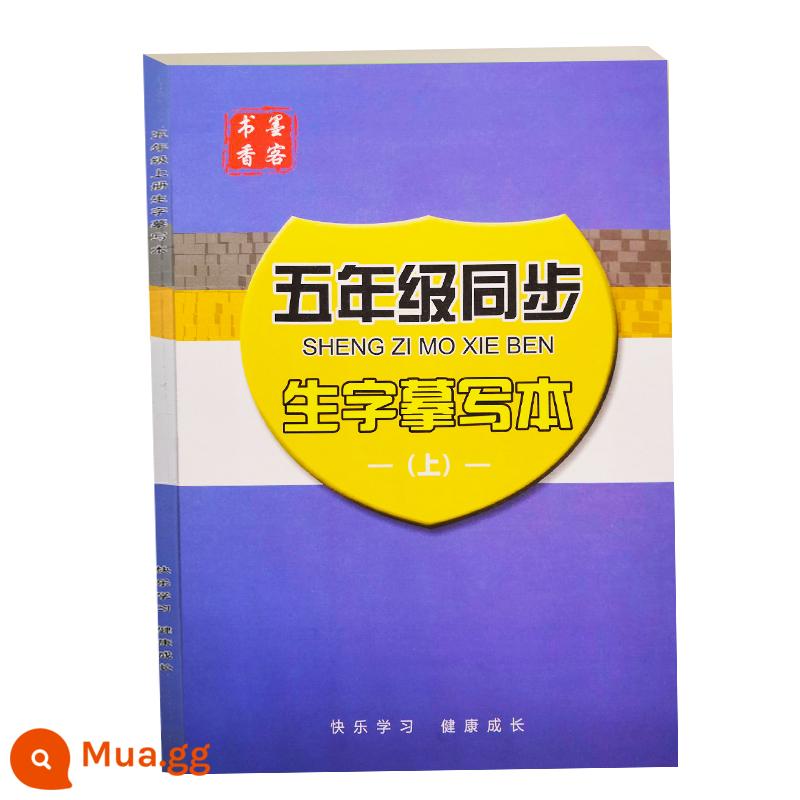 Sách đỏ tra chữ Hán, lớp 1, tập 2, lớp 3, tập 1, sách luyện chữ Hán, nét đồng bộ, nét, trọn bộ dành cho trẻ em - Tập 1 dành cho lớp 5 (có kèm bút chì)