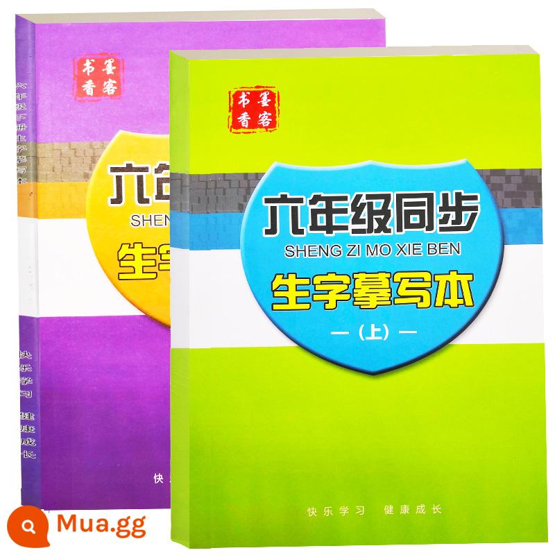 Sách đỏ tra chữ Hán, lớp 1, tập 2, lớp 3, tập 1, sách luyện chữ Hán, nét đồng bộ, nét, trọn bộ dành cho trẻ em - Tập 1 + Tập 2 lớp 6 (có bút chì)